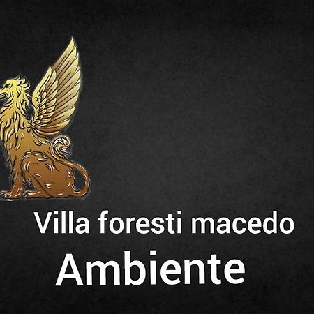Ambiente Foresti Macedo Gramado Esterno foto