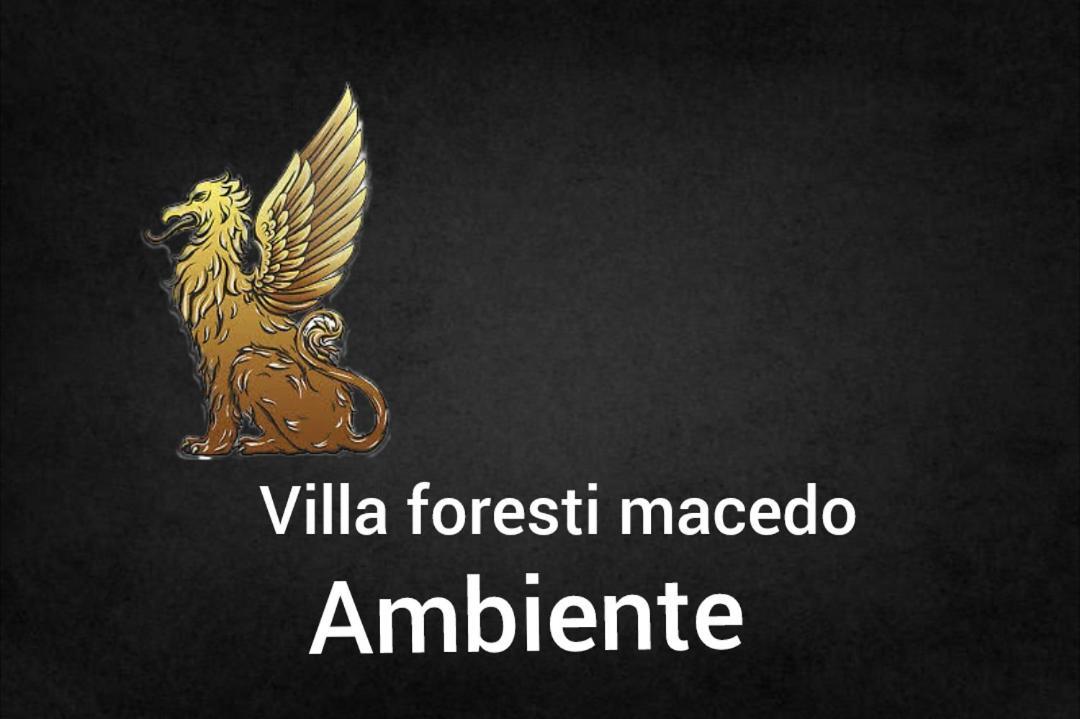 Ambiente Foresti Macedo Gramado Esterno foto
